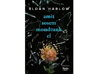 HARLOW, SLOAN: AMIT SOSEM MONDTUNK EL