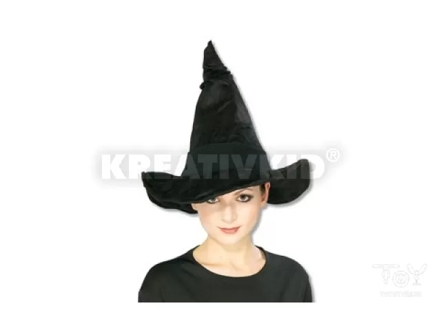 Harry Potter Minerva McGalagon