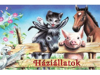 HÁZIÁLLATOK - LEPORELLÓ