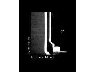 HEGEDŰS GYÖNGYI: LEHESSEN BÁRMI