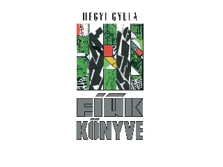HEGYI GYULA: FIÚK KÖNYVE