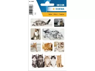 Herma: Cicák matricacsomag