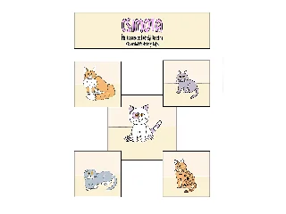 HÉTHELYI KRISZTINA: CSIMOTA