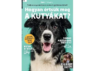 HOGYAN ÉRTSÜK MEG A KUTYÁKAT? - TOP BOOKAZINE
