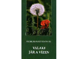 HOMOKI-NAGY KATALIN: VALAKI JÁR A VÍZEN