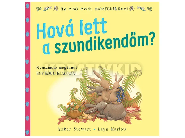 Hová lett a szundikendőm? - mesekönyv JK