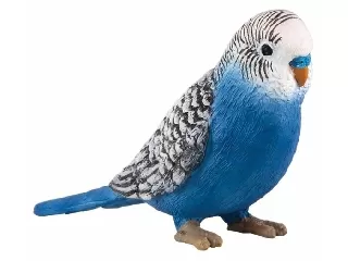 Hullámos papagáj kék S