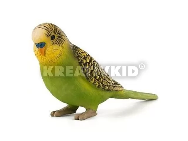 Hullámos papagáj zöld S