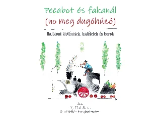 IFJ. ZILAI JÁNOS: PECABOT ÉS FAKANÁL (NO MEG DUGÓHÚZÓ)