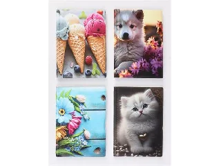 Igazolványtartó, álló, 10 betét lappal, mintás PVC,