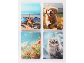 Igazolványtartó, álló, 16 betét lappal, mintás PVC,