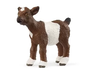 Intelligens gyurma - lapis