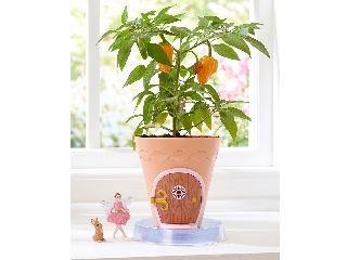 My Fairy Garden: Mini virágcserép házikó