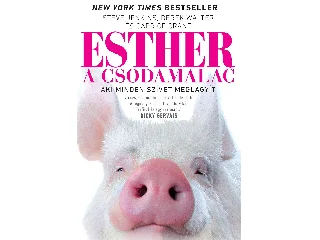 JENKINS, STEVE - WALTER, DEREK: ESTHER, A CSODAMALAC