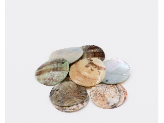 Kagyló medál  kerek 2cm vékony 10db/cs márvány kagyló