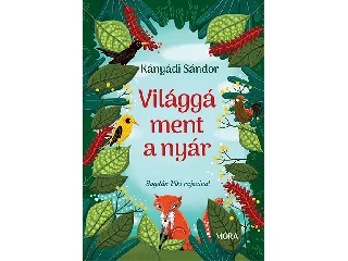 KÁNYÁDI SÁNDOR: VILÁGGÁ MENT A NYÁR (NAGY ALAKÚ)