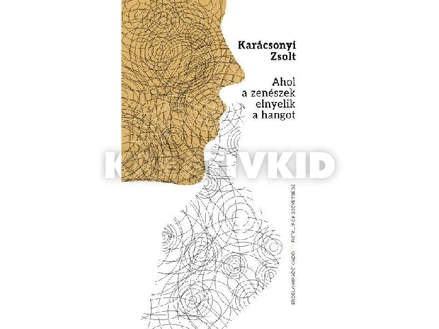 KARÁCSONYI ZSOLT: AHOL A ZENÉSZEK ELNYELIK A HANGOT