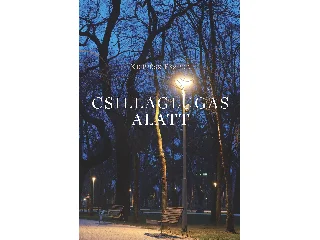 KERTÉSZ ESZTER: CSILLAGLUGAS ALATT