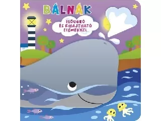Ki bújt el? - Bálnák
