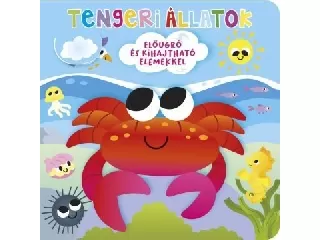 Ki bújt el? - Tengeri állatok