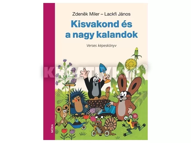 Kisvakond és a nagy kalandok - Verses képeskönyv