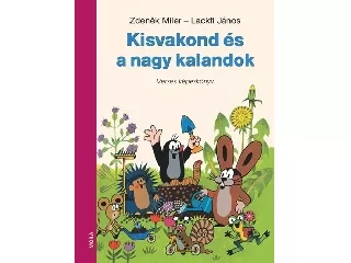 Kisvakond és a nagy kalandok - Verses képeskönyv