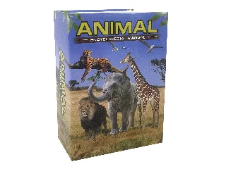 Könyv alakú persely - szafari