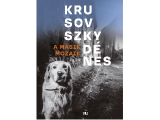 KRUSOVSZKY DÉNES: A MÁSIK MOZAIK