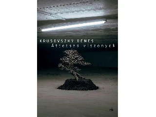 KRUSOVSZKY DÉNES: ÁTTETSZŐ VISZONYOK