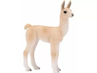 Láma bébi M