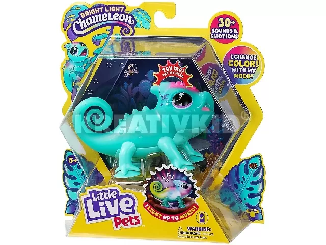 LLP Ragyogó Kaméleon