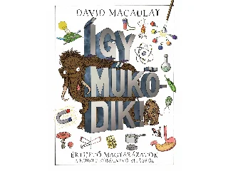 MACAULAY, DAVID: ÍGY MŰKÖDIK!