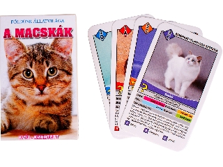 Macskák ismeretterjesztő kártya