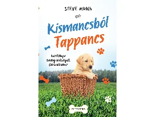 MANN, STEVE: KISMANCSBÓL TAPPANCS