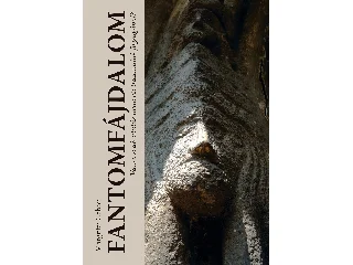 MARGITTAI GÁBOR: FANTOMFÁJDALOM - VAN-E SZABADULÁS NEMZETI TRAUMÁINK FOGSÁGÁBÓL?