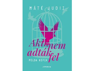 MÁTÉ JUDIT: AKIK NEM ADTÁK FEL - PÉLDA-KÉPEK