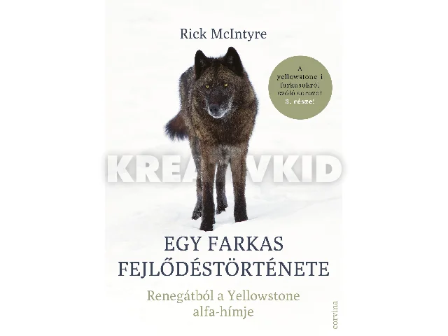MCINTYRE, RICK: EGY FARKAS FEJLŐDÉSTÖRTÉNETE RENEGÁTBÓL A YELLOWSTONE ALFA-HÍMJE