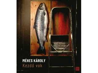 MÉHES KÁROLY: KEZDŐ VAK