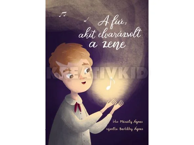 MÉSZÖLY ÁGNES: A FIÚ, AKIT ELVARÁZSOLT A ZENE