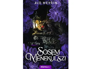 MEYRIN, JUD: SOSEM MENEKÜLSZ! - ÉLDEKORÁLT