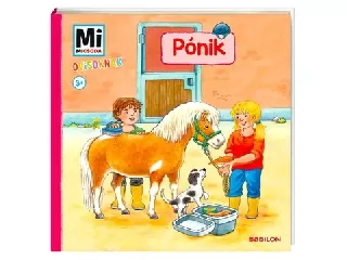 Mi micsoda ovisoknak: Pónik