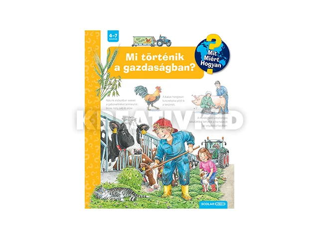 MI TÖRTÉNIK A GAZDASÁGBAN? - MIT? MIÉRT? HOGYAN?