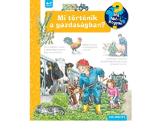 MI TÖRTÉNIK A GAZDASÁGBAN? - MIT? MIÉRT? HOGYAN?