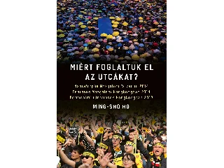 MING-SHO HO: MIÉRT FOGLALTUK EL AZ UTCÁKAT?