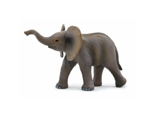 MJ387002 Afrikai elefánt