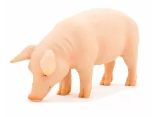 Mojo Kan disznó figura