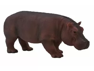 Mojo Viziló nőstény figura