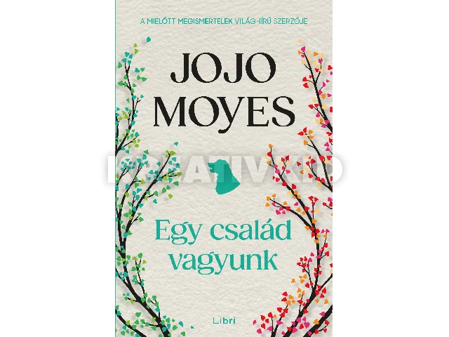 MOYES, JOJO: EGY CSALÁD VAGYUNK
