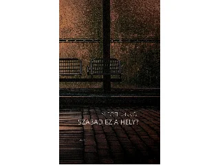 N. TÓTH ANIKÓ: SZABAD EZ A HELY?