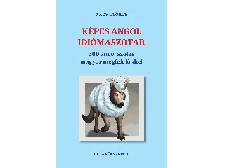 NAGY GYÖRGY: KÉPES ANGOL IDIÓMASZÓTÁR - 300 ANGOL SZÓLÁS MAGYAR MEGFELELŐKKEL